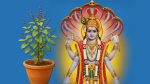 విష్ణువుకు ఎంతో ప్రీతికరమైన తులసి.. వినాయకుడి పూజలో నిషిద్దం ఎందుకంటే..!